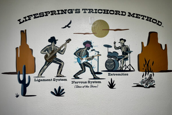 LifeSpring’s Chiropractic Trichord Method