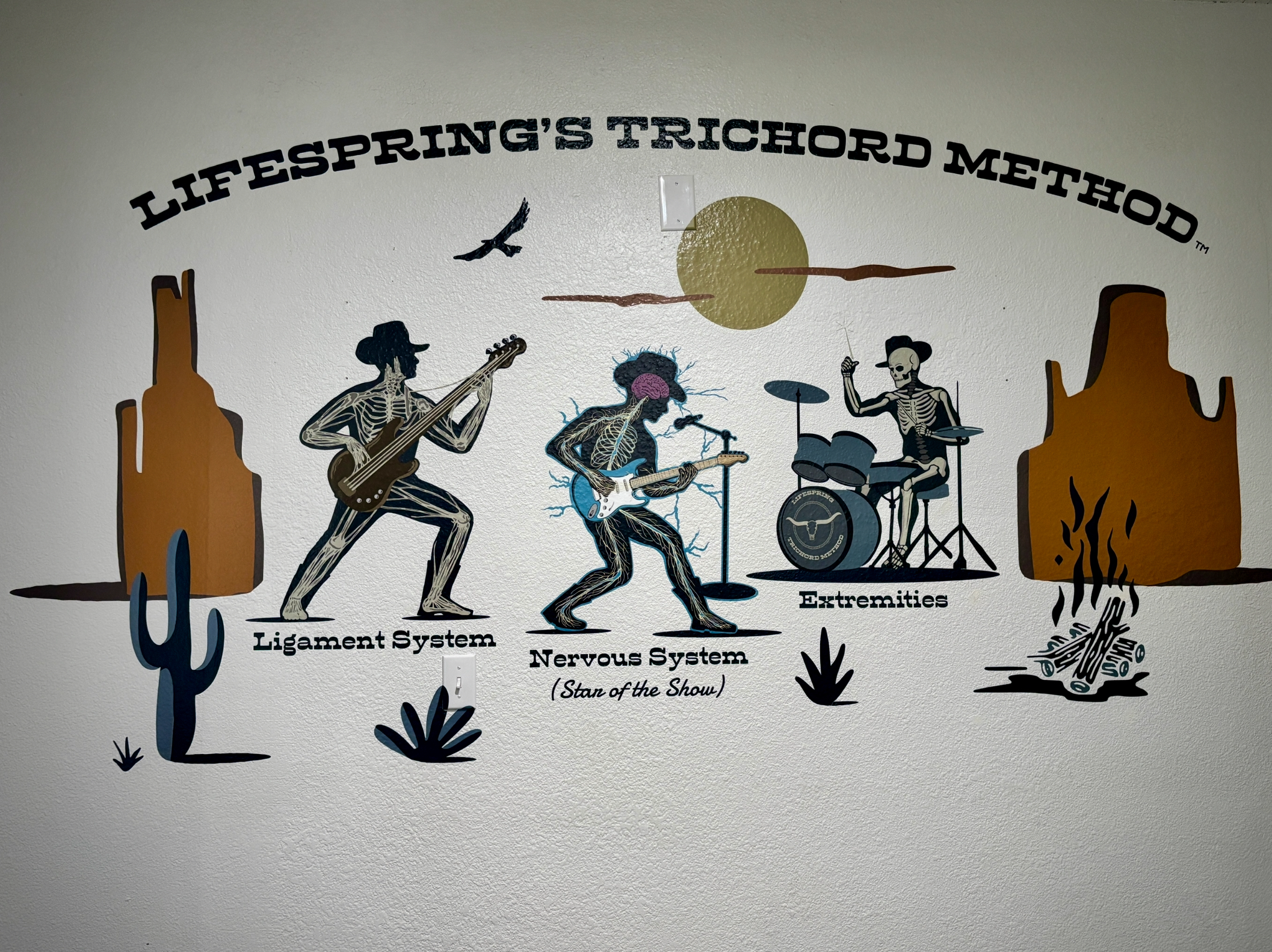 LifeSpring’s Chiropractic Trichord Method